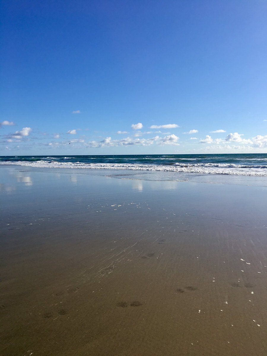 QuarantineKatie's tweet image. #ASEH2018 #ASEH2018Tweets