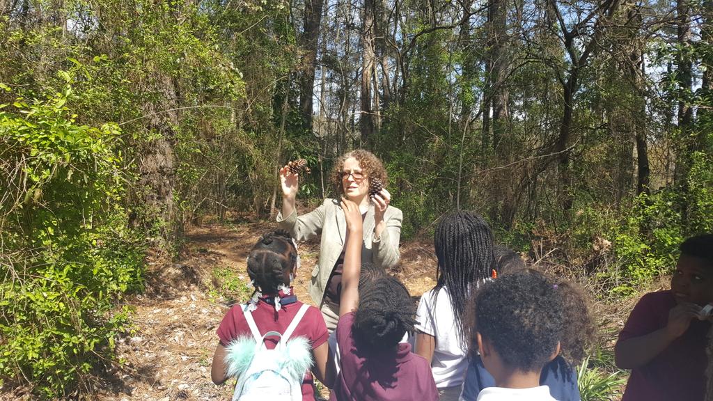 MsTeneJones's tweet photo. Thanks Ms. Michelle for our awesome lesson on plant life cycles today. #BeyondTheClassroom https://t.co/WW9SV4ETbF