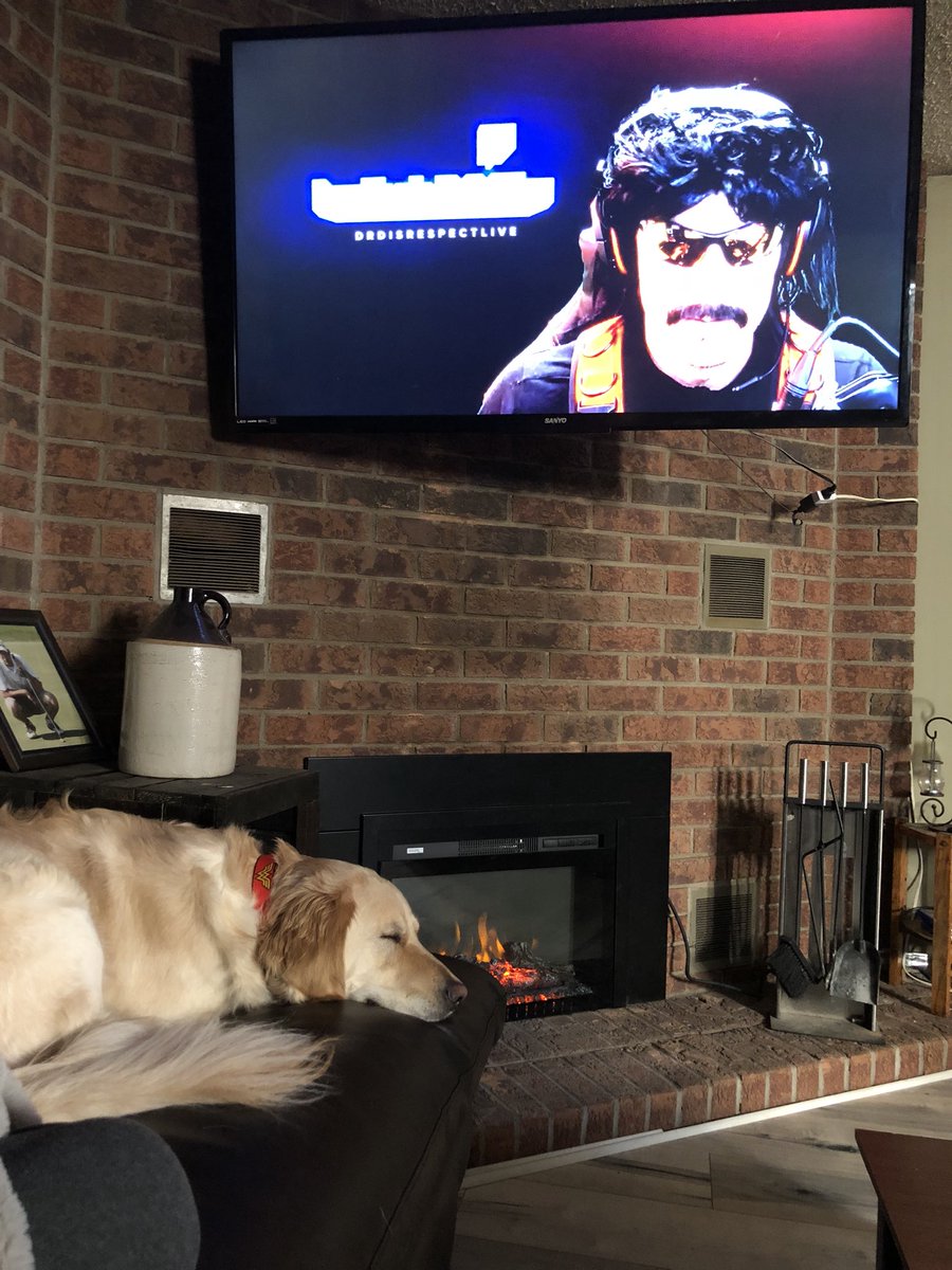 ChadBoudy's tweet photo. Chilling with my golden watching the 2x Champ on the big screen @DrDisRespect https://t.co/qIVghcKim2