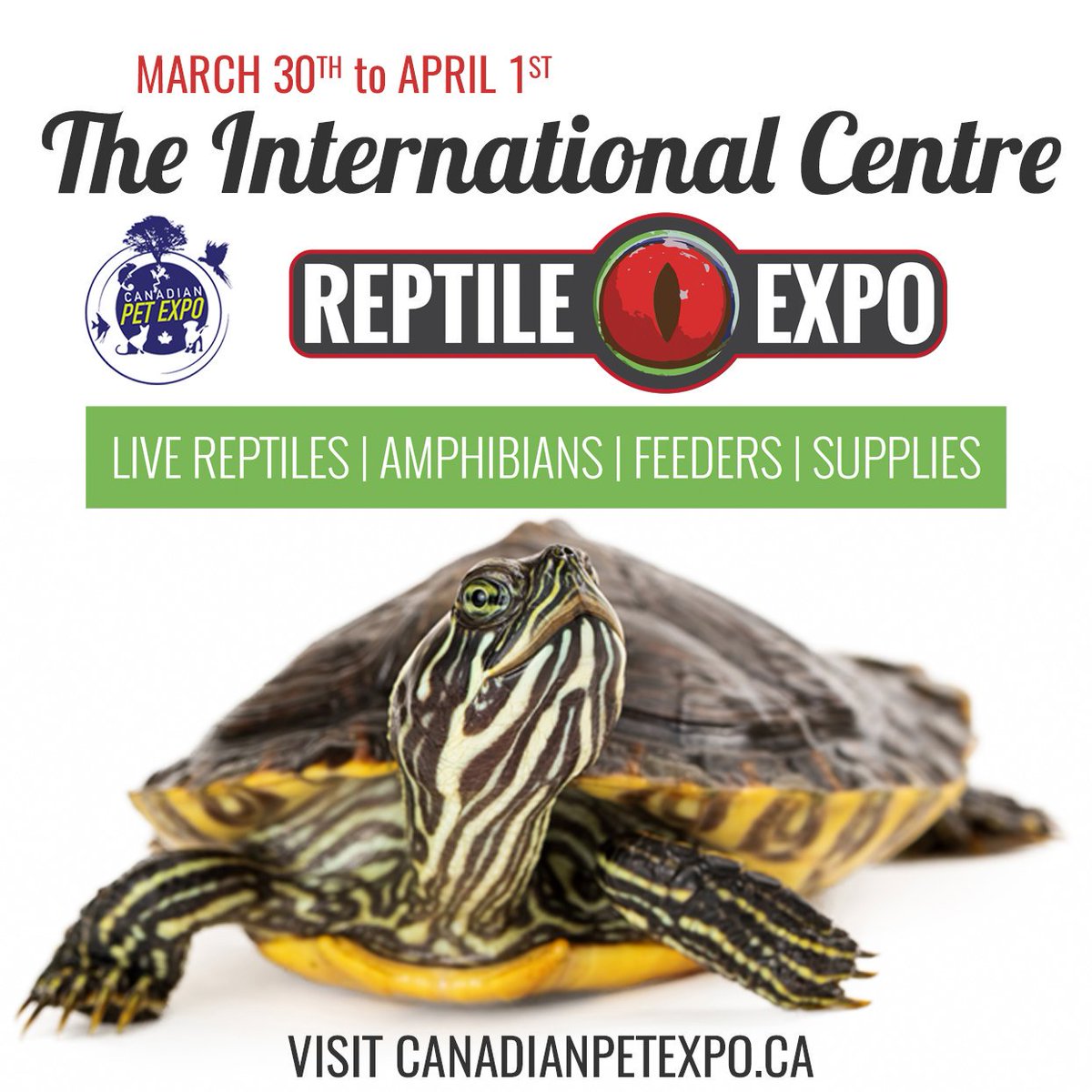 ReptileExpo_ca's tweet photo. We'll be at the Spring @canadapetexpo  on March 30, 31 and April 1! Reptiles are awesome pets and we cant wait to share our love for all creatures!

#toronto #reptilescanada #reptilelovers #petsoftoronto https://t.co/fRNQdE7yQY