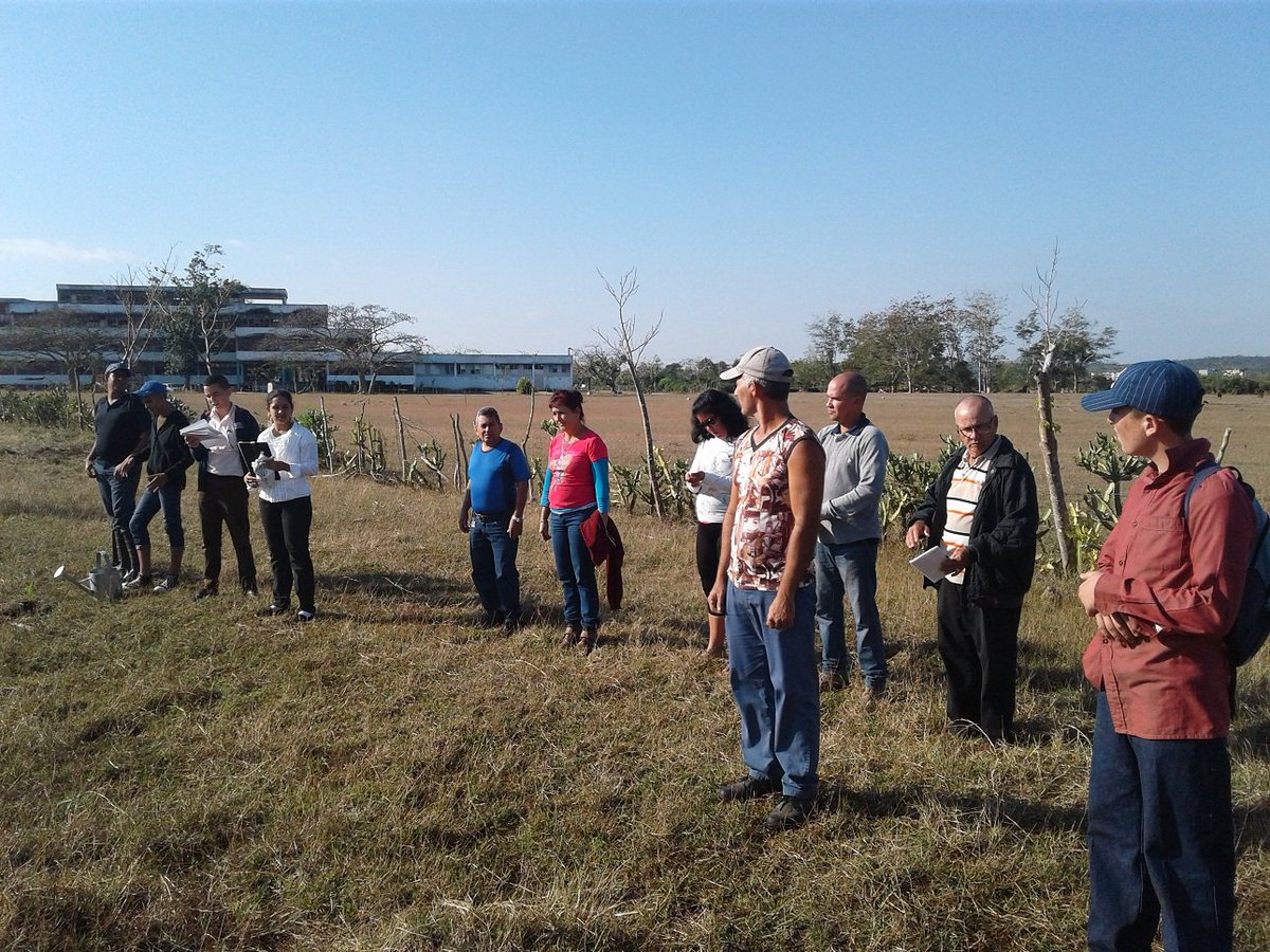 Alumnos, docentes y obreros agrícolas del Centro Mixto Ramón Ribalta de Sitiecito efectuaron un matutino especial y plantaron 6 palmas reales, a propósito del aniversario 140 de la Protesta de Baraguá. #EducacionSagualaGrande <a href="/CubaMined/">MINED</a> #EducaciónVillaClara