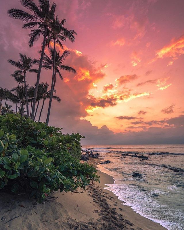TimberBlvd's tweet photo. With every sunset, a new hope is born , an old expectation dies #timberblvd
———————————————————
📷  Photo Credit : @erubes1
———————————————————
Hashtags
#inspiration #inspire #motivation #life #passion #happiness #success #motivationalquotes #goals #p… https://t.co/zwTM85fzfe https://t.co/EhCsdMIvui