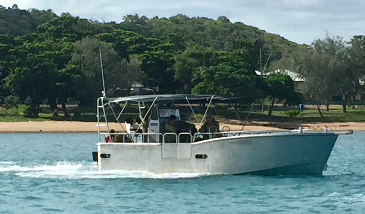 RSM-A Kim Felmingham tweet media