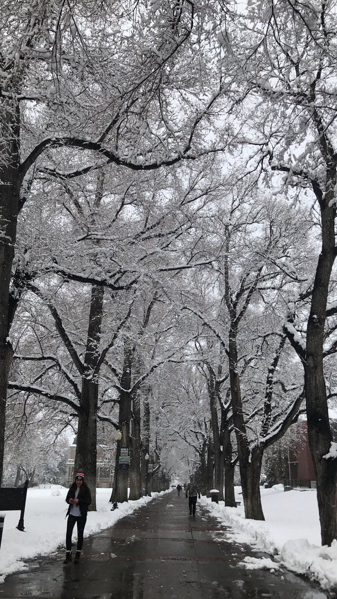 phidereno's tweet photo. Have an awesome “Spring” Break to our NV Alpha PhiDE’s! Be safe out there! ☃️❄️ #PhiDE #PhiDEReno 👙☀️ https://t.co/A56xTfCZMK