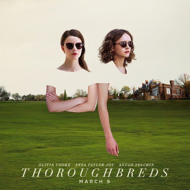 IsItFunfilms's tweet image. @Thoroughbreds is mostly not about horses! but #isitfun? isitfunblog.wordpress.com/2018/03/16/tho…