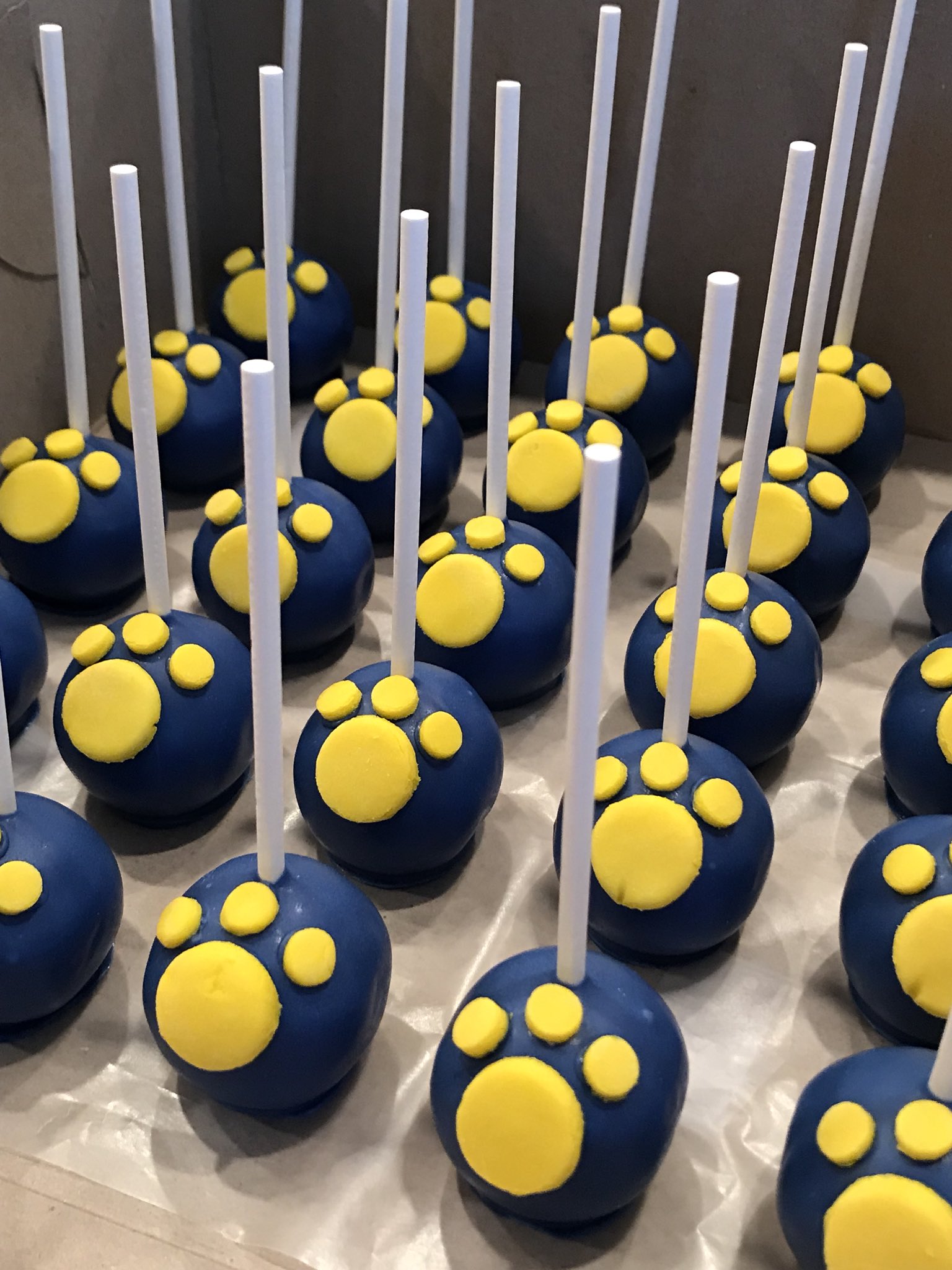 Minis by Maria on X Puppy Dog Pals themed party complete with custom smash cake custom dog bone cookies and hand crafted paw print cake pops puppydogpals dogbone dogbonecookies pawprints pawprintcake ...