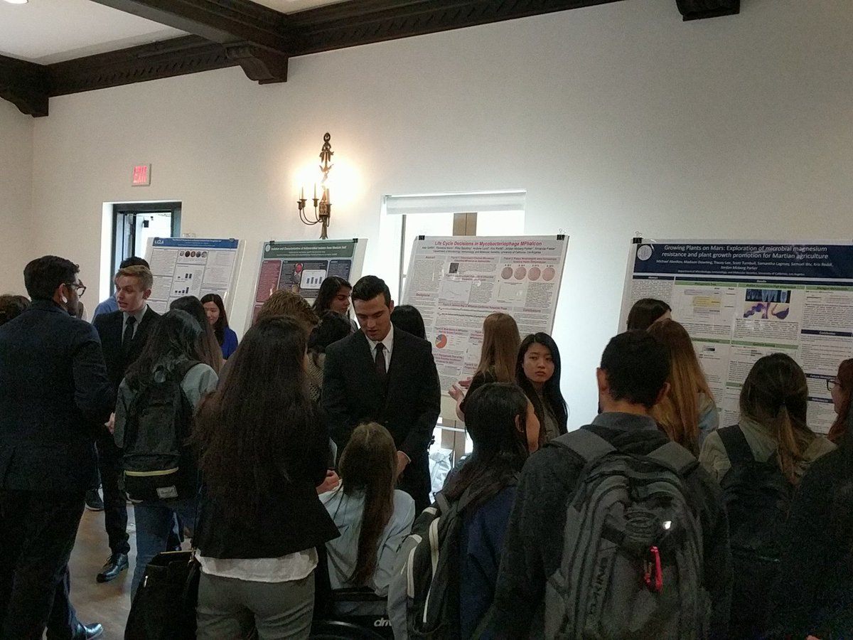#MIMGPosters! 6 months of student research on #bacteria, #phage, and #plants culminates today.