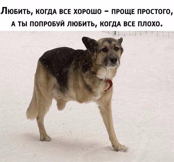 Невероятно, но Факт! (@best_fact) on Twitter photo 