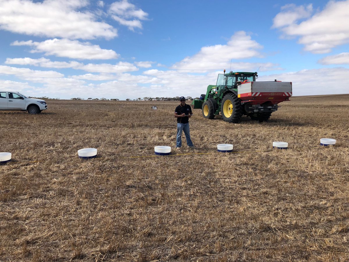 Imtrade tech manager Sebastian hard at work sorting through the data