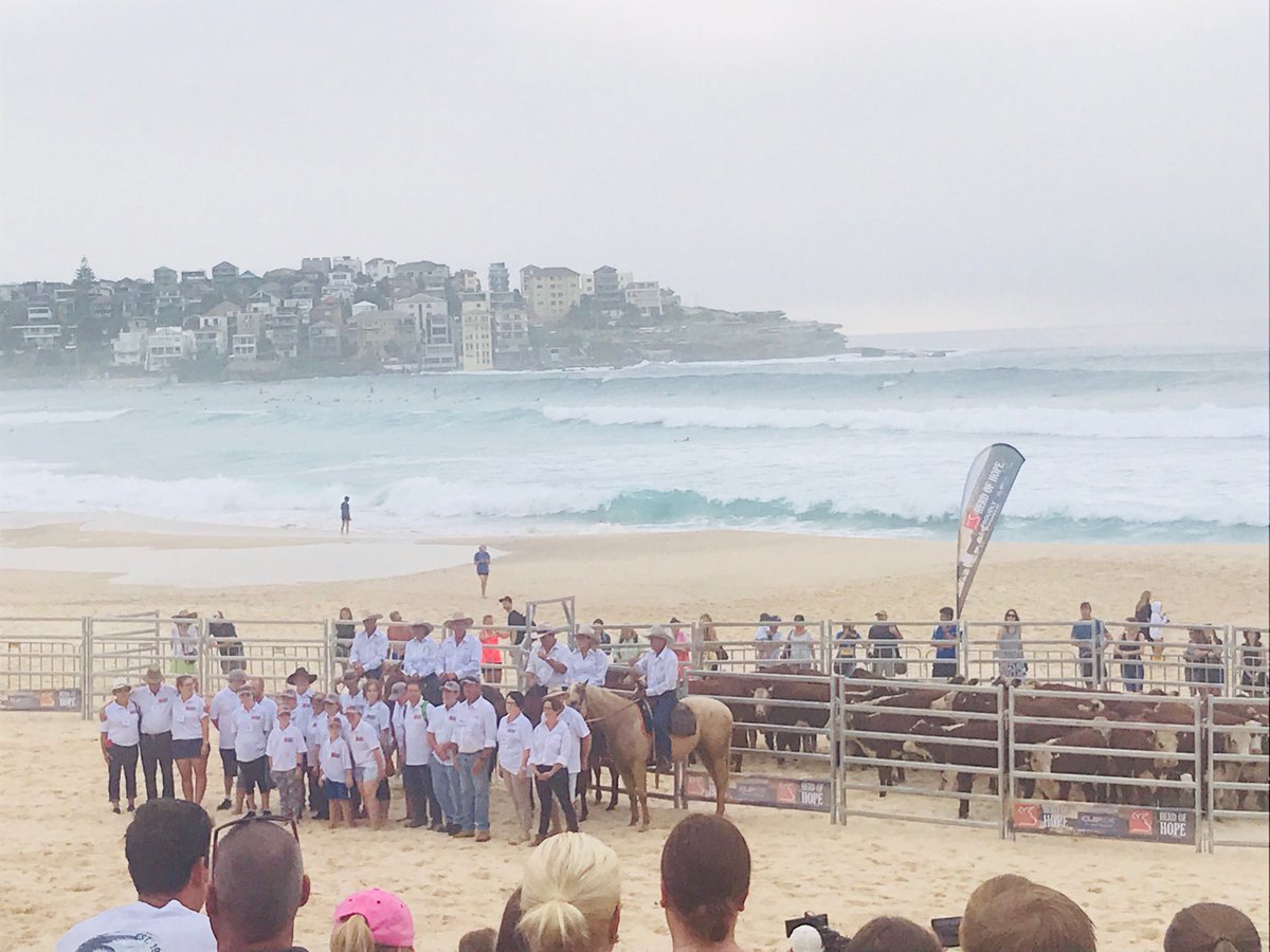 Congratulations <a href="/herd_hope/">Herd of Hope</a>, raising awareness about the challenges rural organ recipients face, when like these cattle, they have to relocate to the city
