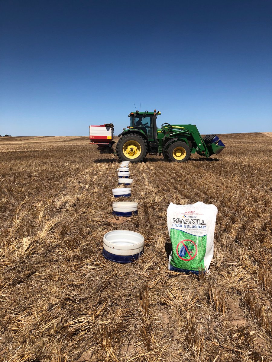 Imtrade metakill trials underway for 2018