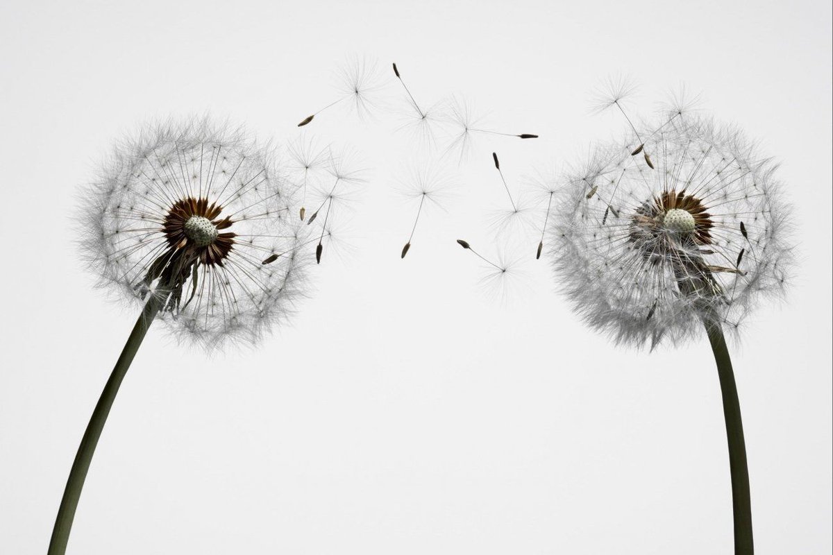 Why You Should Never Start Just One Business buff.ly/2tRwbdl