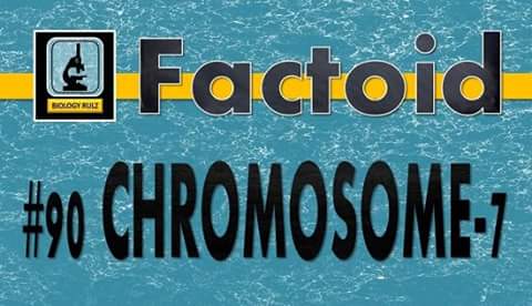 heybiologycoach's tweet photo. #Chromosome-7 has 948 protein-coding #genes. A number of diseases & disorders are linked to genes on chromosome-7 including: #cystic #fibrosis, #Marfan #syndrome, limb-girdle #muscular #distrophy, & #schizophrenia.
#MCAT #premed #medschool #mutation #Genetics https://t.co/FljddMl1v9