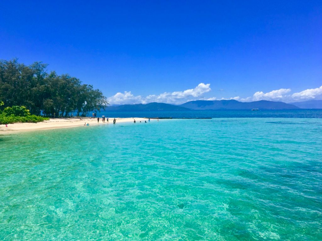 how_travel_'s tweet photo. So that’s where I will #snorkel. ❤️ #GreenIsland 🇦🇺 😍 !  🐠 ✌🏼 ➡️ https://t.co/4f7J7XUS0S  #howtravel #queensland #greatbarrierreef #travelbucketlist #daytrip #traveladdict  #travelstroke #travelblogger #globetrotter #travelblogger #travelblog https://t.co/voFGkcvcxk