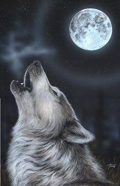 Talk503's tweet photo. When will Gov Wolf howl for The Safety of his Commonwealth Citizens? @DemGovs @GovernorWolf @PennsylvaniaGov @GovernorTomWolf @PA_PUC #NOMariner #NOME1 NOME2 #PA18 #DelawareCounty #ChesterCounty #Exton #Westchester #Phoenixville #Downingtown https://t.co/vJ1CaAGtOg