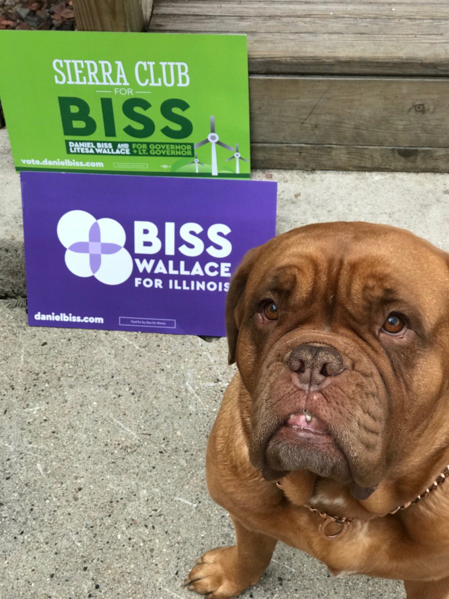SierraClubIL's tweet photo. Have you voted for @DanielBiss yet? https://t.co/wplXEs3mr3