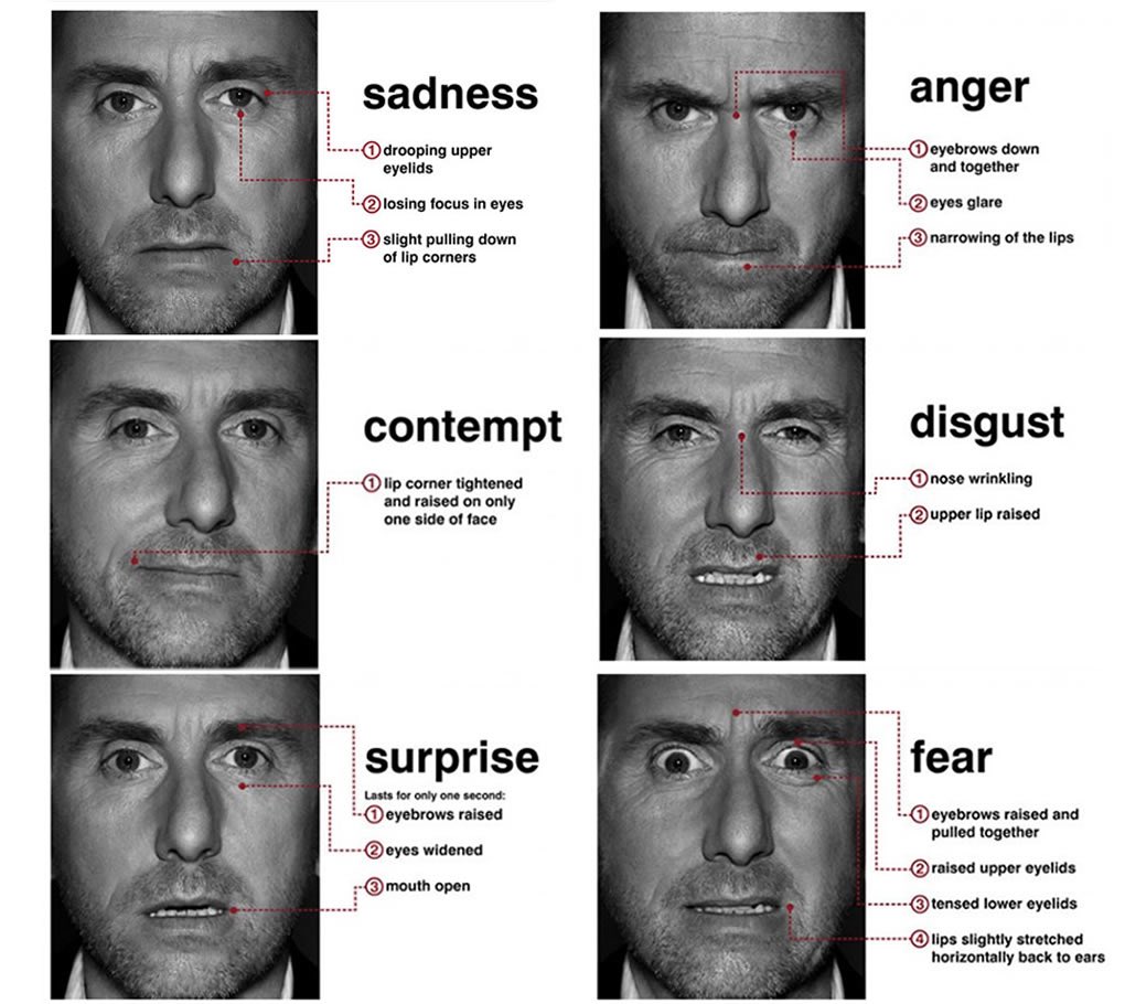 tiagomelo70's tweet photo. #Microexpressions are the way we transmit ours unconscious thoughts and feelings! #NMKTRCH @lets_NEUROmkt https://t.co/RUJ6KykQG7