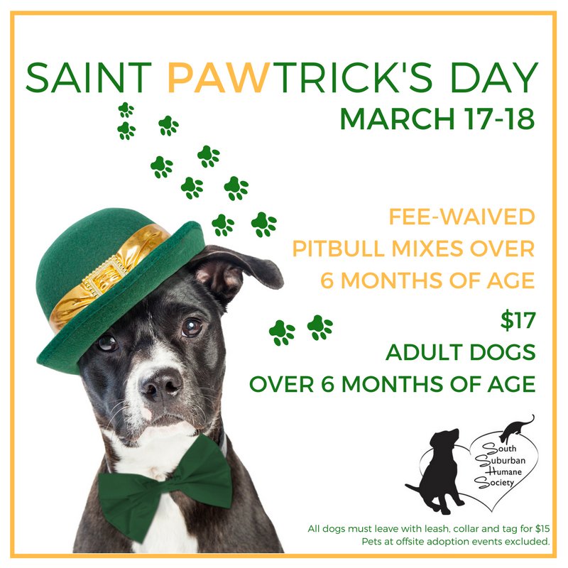 Animal Shelters Near Me Hiring At 16 - Top of the top Animal Wallpapers
