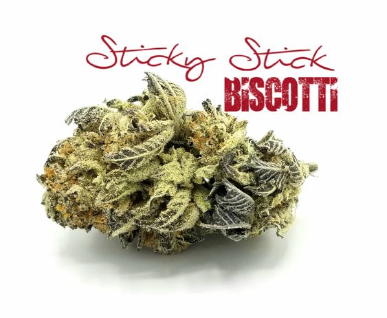 stickystickvape's tweet photo. Our partner company @greenguyzcollective got their hands on a rare new strain. Get yours while you can at https://t.co/fbKVEDDWlz #cannabis #biscotti #thc #weed #cannabis #smokeweed #getlit #delivery #recreational #vape #stickystick #vapor #newstrain https://t.co/y6x8rvWZlz
