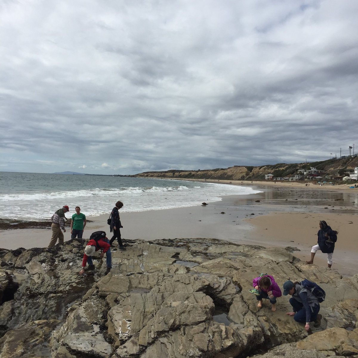the_wrangler's tweet image. Tidepooling environmental historians @CrystalCoveSP. #ASEH2018