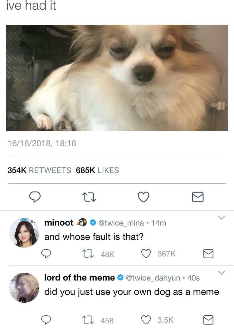ホモ on twitter if twice were allowed personal social media a