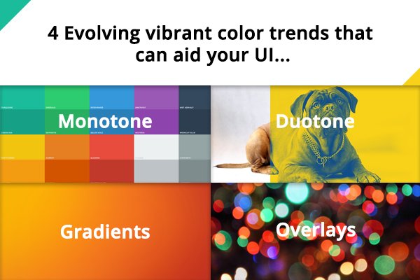 PotenzaGlobal's tweet photo. Observe the four color scheme trends that have become popular in the responsive web design services. Get in detail at https://t.co/P484bSxD6Z
#ResponsiveWebsiteDesignServices #WebsiteDevelopment #Webdev #Ui #Ux #WebDesign #potenzaglobalsolutions https://t.co/7B1Ywk69gq