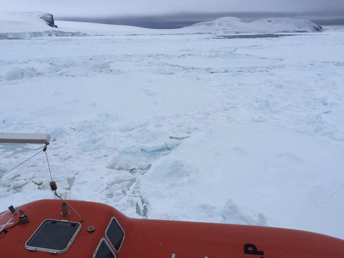 melkmack's tweet image. Back in sunny Australia! Thanks to all from the RSS James Clark Ross &amp;amp; the #LarsenCBenthos team! #missingthisview
