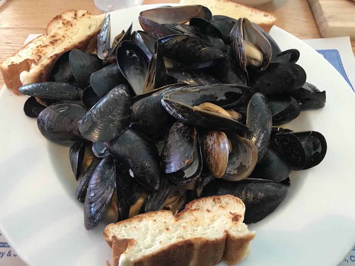 CookTimeRemmi's tweet photo. ...When on the East Coast ;) If you are in Madison, CT tomorrow, stop by R.J. Julia Booksellers at 2pm! I’ll be talking about my new book and doing a demo! #RemmiCooks #TheHealthyTeenCookbook #BuyWithLinkInBio!! @rjjulia https://t.co/jB6hUD6eQM