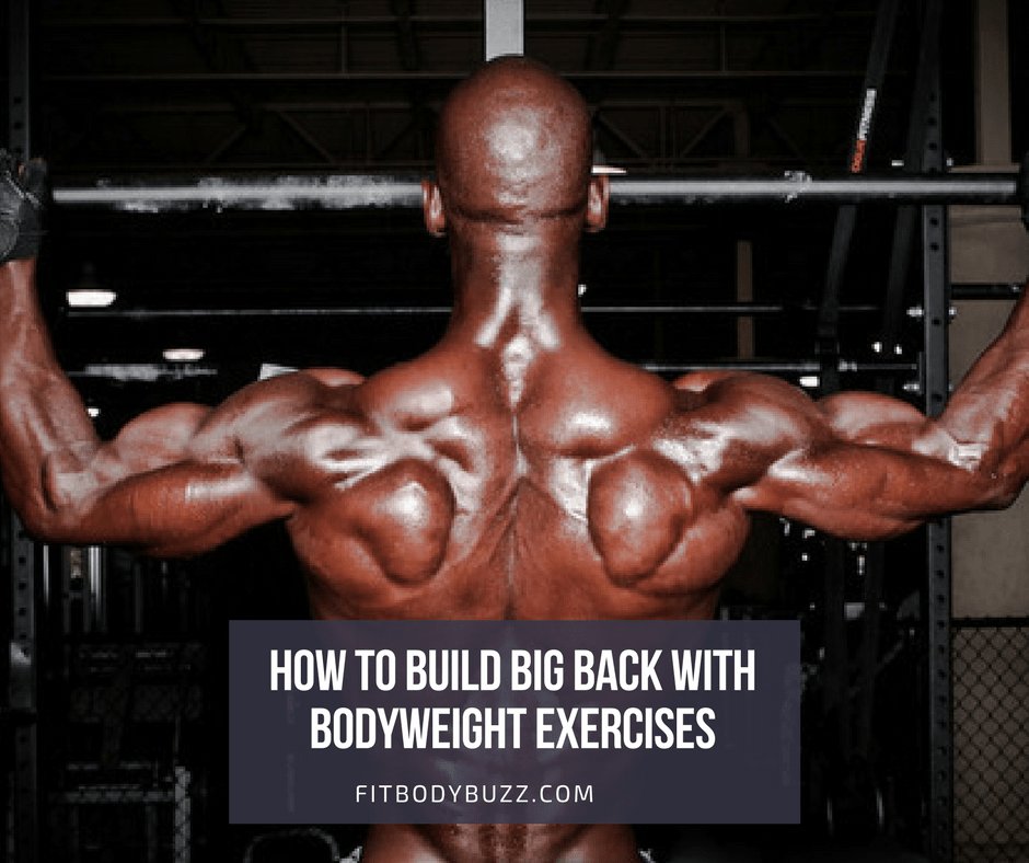 PeterBeack's tweet image. Best Bodyweight Back Exercises and Workouts to Build Huge Lats fitbodybuzz.com/bodyweight-bac…