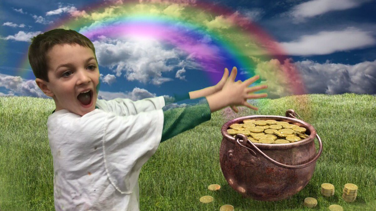 Traci O'Neill tweet media