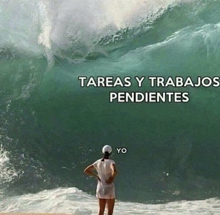 divinas_divas's tweet photo. Nosotras en historia🤭😂 @EvaProfGH https://t.co/xaF1Kiid0I