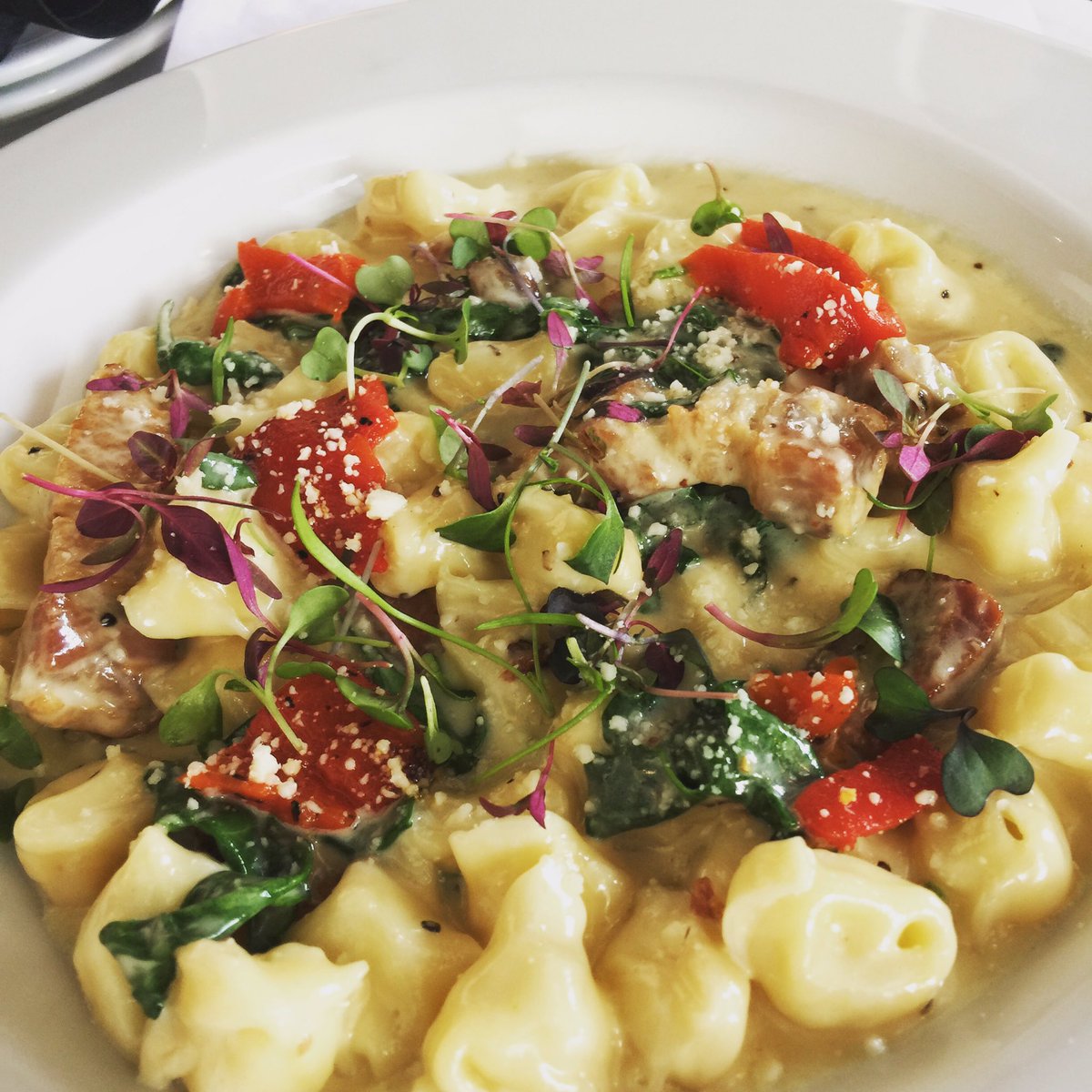 PastaGiGis's tweet photo. It's so good. I want to eat it all. #delicious https://t.co/VRbaMb7lzE