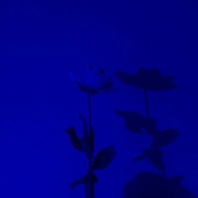 00JANEx's tweet photo. ┎                                                           ┒  
   No plɑying, no fɑking, no gɑmes,
      no hesitɑtion
   Your body, so crɑzy, I bet your
      mind's ɑmɑzing
┖                                                          ┚ https://t.co/FO7yJBCQ7b