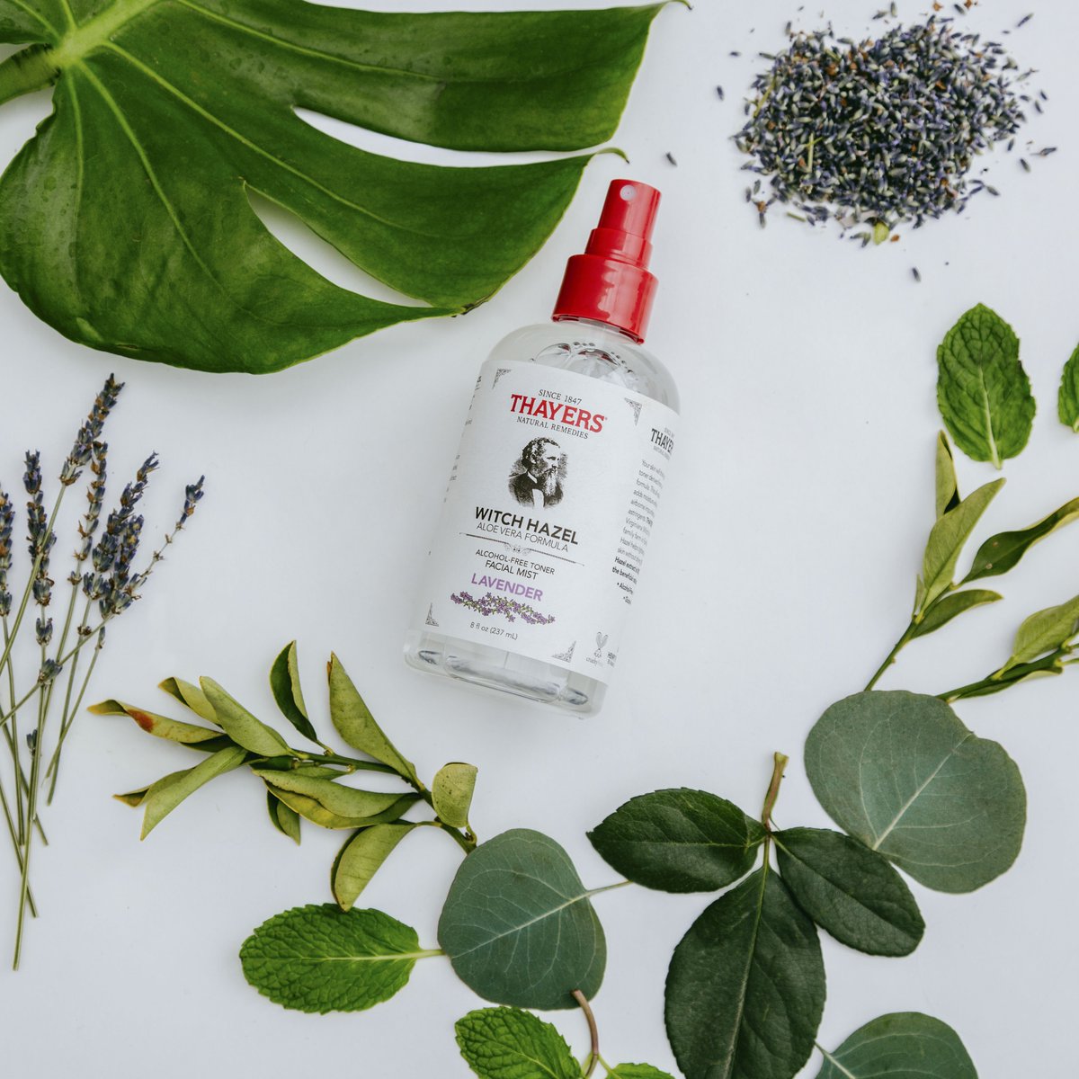 thayers facial mist lavender