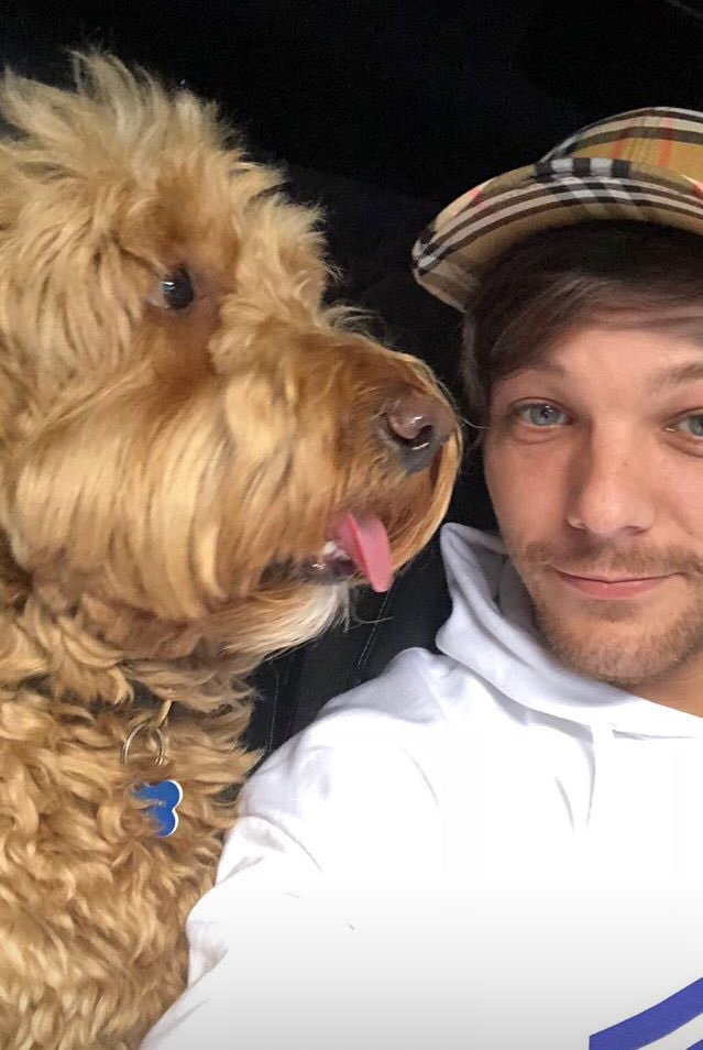 TheLouiesCrew's tweet photo. Get urself someone who loves u just as much as louis loves his dogs 😍😍

#LouisBestFans https://t.co/7Xoj47a9vD
