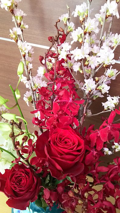 「謝恩会会場に飾られていたお花も頂戴しました。刀剣乱舞イメージの桜と加州清光イメー」|浅島ヨシユキのイラスト