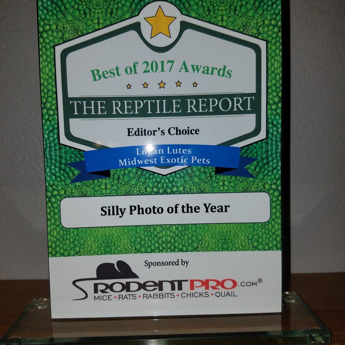 MidExoPets's tweet image. 