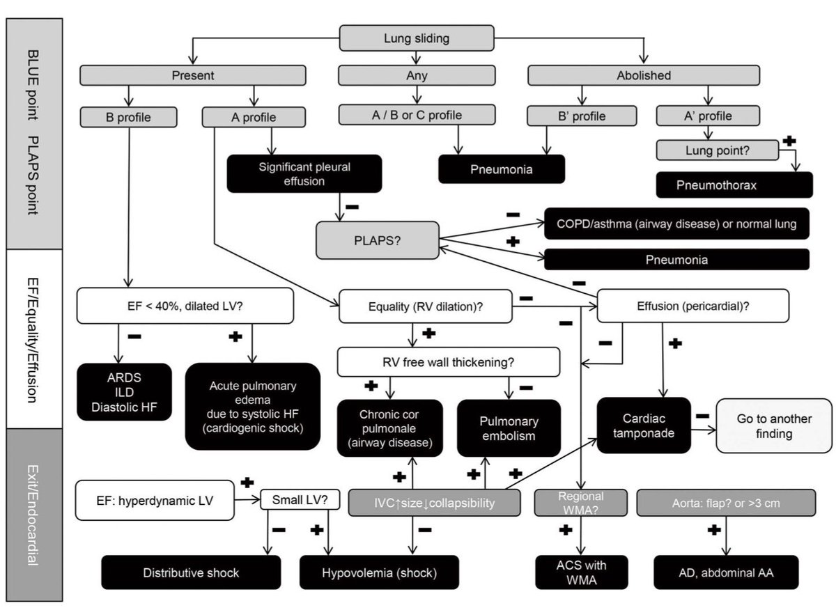 MAecocardio's tweet photo. Interesante resumen de #ecocardioscopia en paciente con disnea https://t.co/5MFW5jDk7j https://t.co/5AeqmCJO57