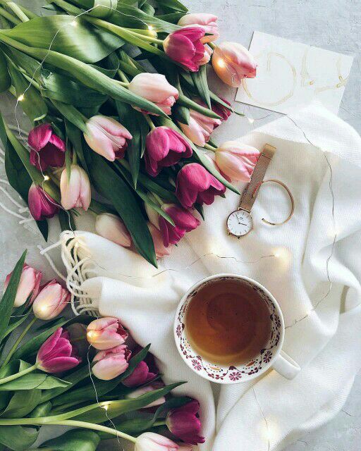 yasminx_200's tweet image. #مملكة_الانيقات_للتبادل

#حروف_بعطر_المسك
 #معنى_الانوثه_هي_الحياء
 #قروب_طيف_للدعم
 #نجوم_البندر_للدعم

(الَّذِينَ اتَّبَعُوهُ فِي سَاعَةِ الْعُسْرَةِ )
حتى الابتلاءات الكبرى ليست سوى ساعة
فما أسرع ما تمضي .. !