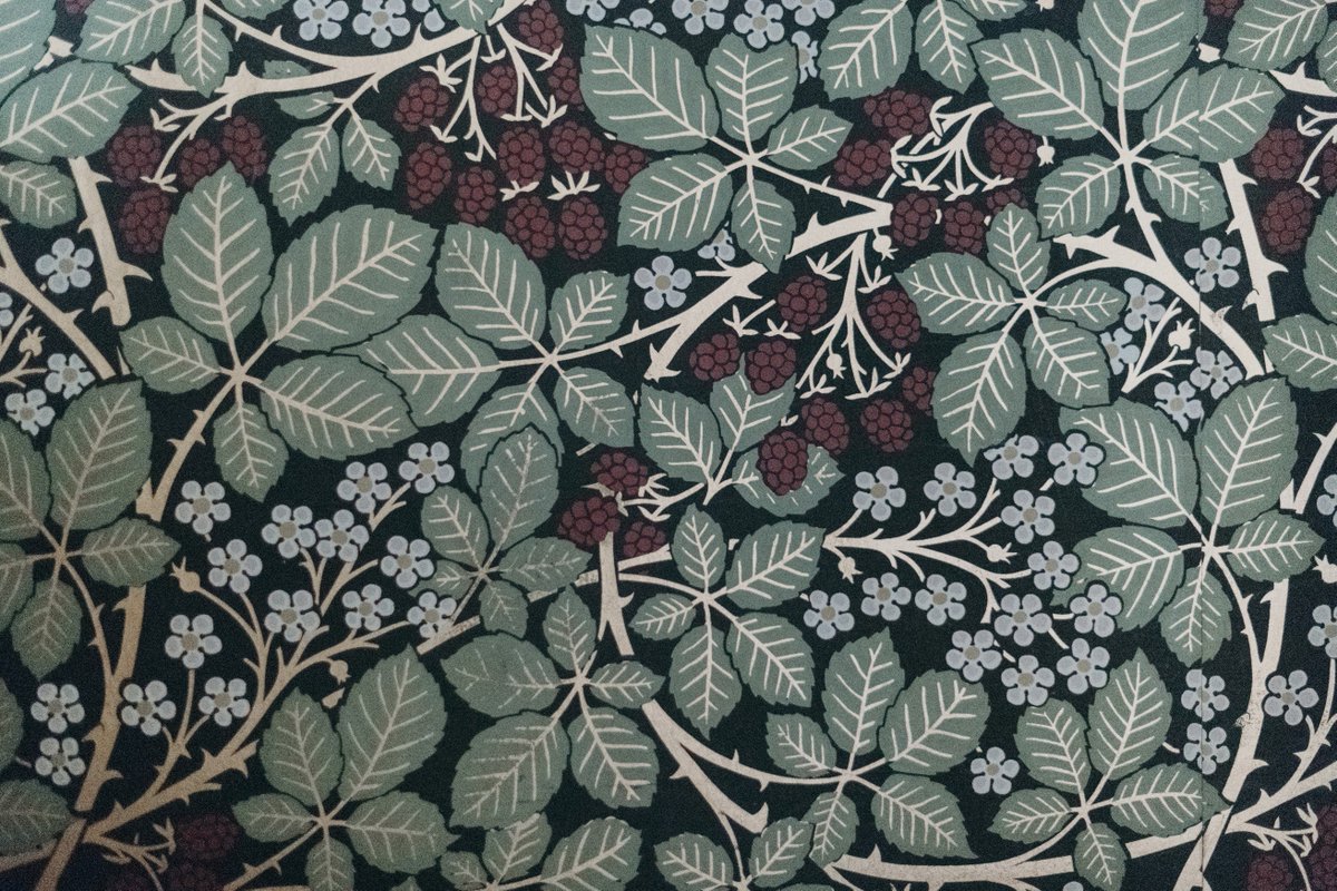 Nathan Anderson tweet media