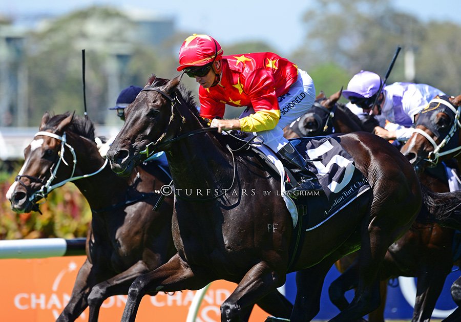 LisaGrimm9's tweet image. Le Havre gelding #AUVRAY comes with a flying sprint to win the Group 3 Sky High Stakes 2000m for @R1CHARDFREEDMAN and @SchofieldGlyn at Rosehill Gardens today.