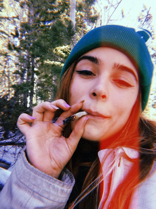Smoke it &amp; s🔚 it. 🏂❄️🌲 https://t.co/ZA9AzZri6V