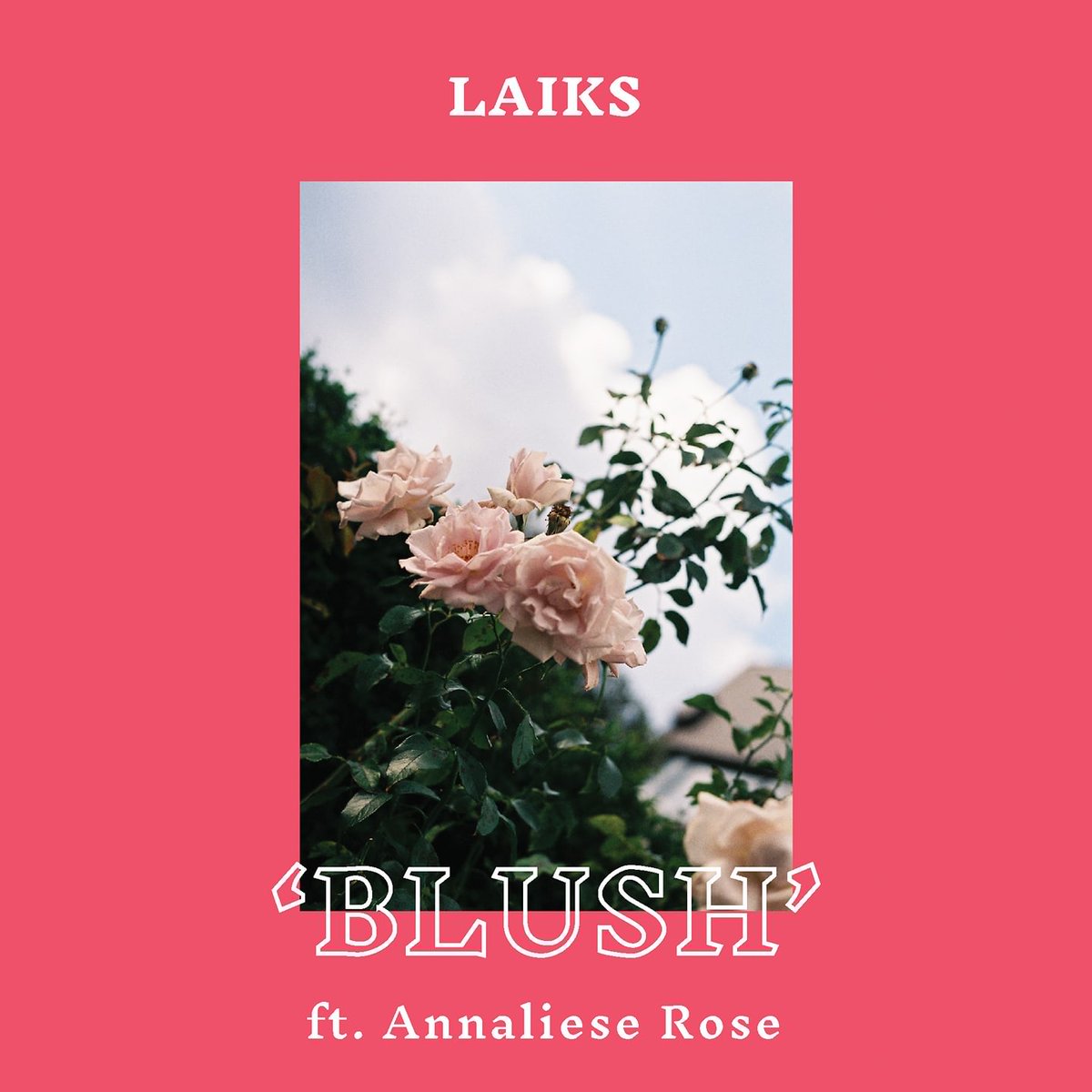 EucalyptMusic's tweet photo. + new music from #laiks + #annalieserose #primitivemotion #campcope & #orionsun https://t.co/HW19RHNsVM https://t.co/5xrK8lLacB