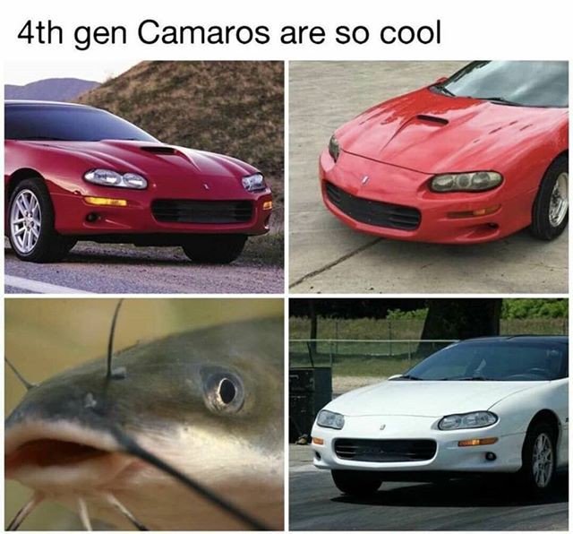 BigJoeTruckTown's tweet photo. Reposting @carcrap_:
I know right!!
#carcrap #mopar #chevy #gmc #ford #infiniti #nissan #chrysler #volkswagen #vw #cars #car #automotive #carsofinstagram #igcars #instagram #mercedesbenz #mercedes #benz #bmw #normalcars #trucks #supercar #porsche #diesel #v6 #v8 #america #like https://t.co/nBX5XIMUQM