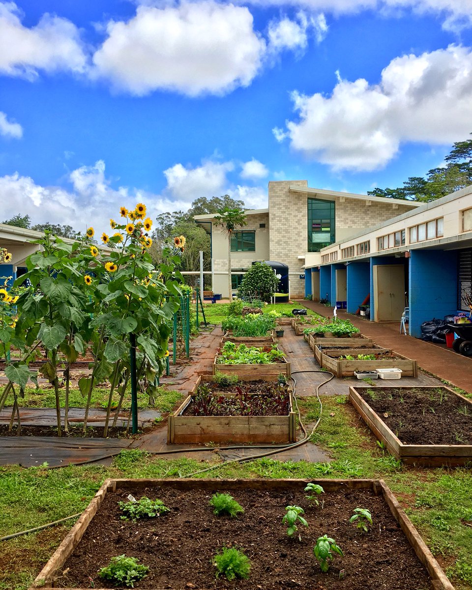 hawaiiest's tweet image. Happy spring break! 🌱🌻🌺 #alohafriday #timetorecharge #learningtorest #selfcare :)