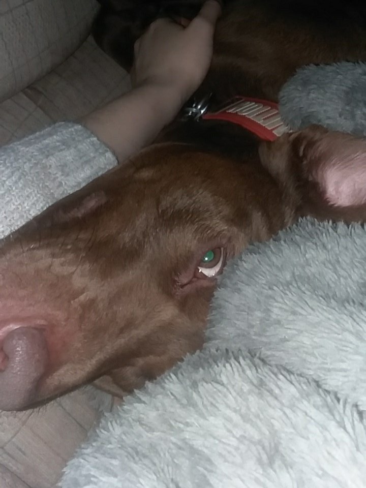 SimpleMistress's tweet image. Oh boy