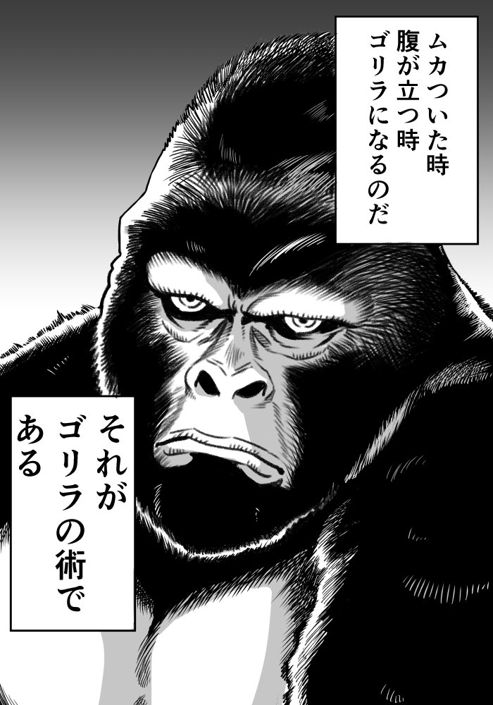 腹が立った時落ち着けるオススメの方法があるそれがゴリラの術である https//t.co/tslTzG19YZ