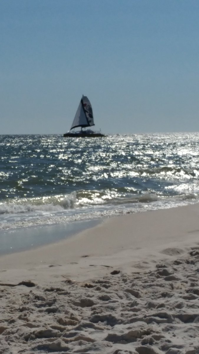 TamaraBenningto's tweet image. #weekendvibes #saltlife @FashionistaDET #swag #please