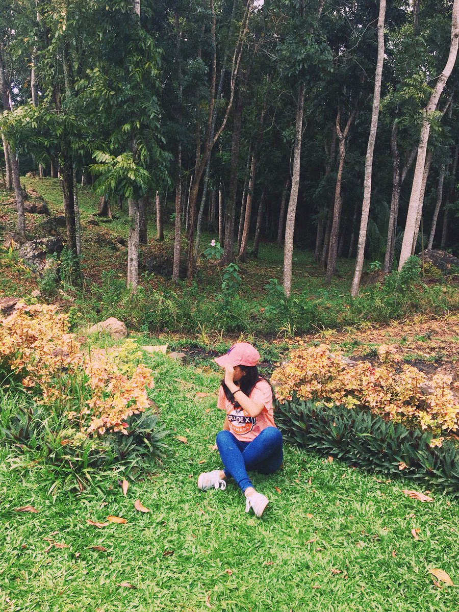 wjhvisuals's tweet image. —let's play with toys not with hearts 🌸🌿

#CaratSelcaDay
#17CaratSelcaDay