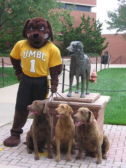 ryanglover32's tweet photo. #rollretrievers https://t.co/ydoiQVXx5x